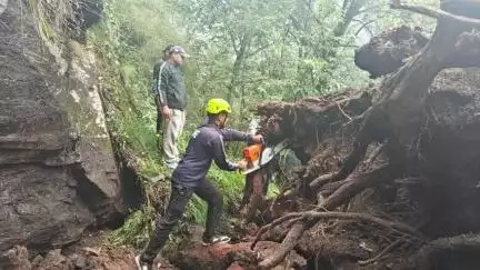 चमोली: मंडल में माता अनुसूया पैदल मार्ग पर गिरे विशाल पेड़ को फायर सर्विस ने हटाया, श्रद्धालुओं को मिली राहत