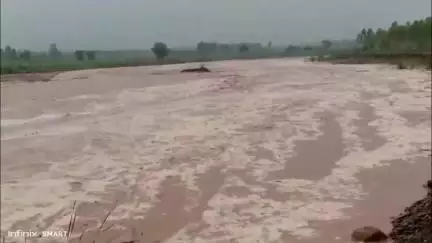 साढौरा: पहाड़ों में भारी बारिश से सढौरा और आसपास की नदियों में बढ़ा जलस्तर