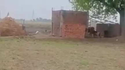 इंदरगढ़: ग्राम भडौल में किसान को बंधक बनाकर कट्टा अढाकर ट्रैक्टर की लूट 20 दिन पहले खरीदा था ट्रैक्टर थाने में दिया आवेदन