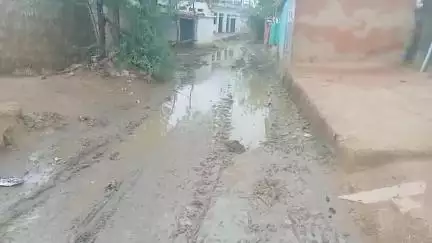 gram nivi panchayat sahona tehseel dabra jila gwalior gram nivi me bahut dino se sadak kharab hai or sarpanch bhi nhi aa