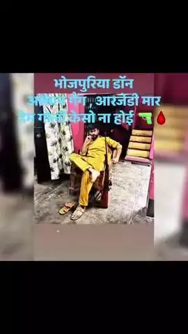 #BhojpurPolice 
#biharpolice 
#ANI_News_nis 
Bihar me gundaraaj police ka koi action nahi hone se mil raha apradhi nidar