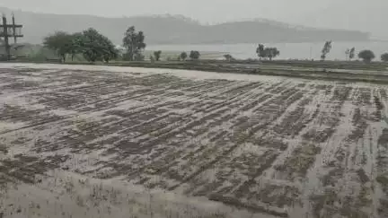 सातारा: कोयना धरण पायथा विद्युतगृहाचे एक युनिट सुरू, नदीकाठच्या गावांना सतर्कतेचा इशारा