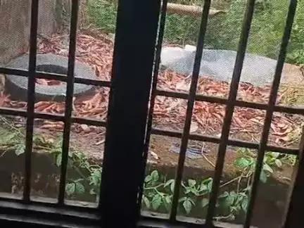 Jalalpur block ke Charon Taraf 24 ghante Se bijali Na pata hai abhi tak Dikhai nahin diya Kya Yahi Vikas hai