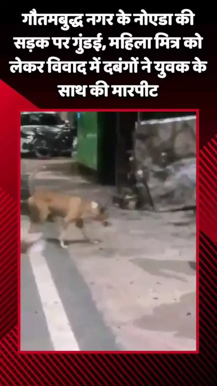 गौतम बुद्ध नगर: गौतमबुद्ध नगर के नोएडा की सड़क पर गुंडई, महिला मित्र को लेकर विवाद में दबंगों ने युवक के साथ की मारपीट