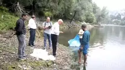 नैनीताल: नैनीझील में छोड़ी गई 20,000 महाशीर व सिल्वर कार्प, झील की पारिस्थितिकी में करेंगी सुधार