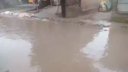 ভগবানগোলা ২: রানিতলার গাইন পাড়ায় ভেঙে পড়া রাস্তায় ক্ষোভের বিস্ফোরণ, "নির্বাচনের সময় আশ্বাস মেলে, কাজের সময় সবার নীরবতা" #jansam