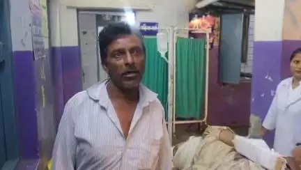बागली: घोड़े के हमले में दो लोग घायल, एक की हालत गंभीर, इलाज के लिए इंदौर रेफर