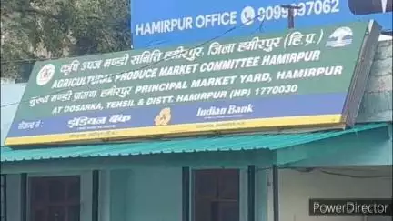 हमीरपुर: लाहड़ में एपीएमसी का बड़ा मार्केट यार्ड बनाने की योजना, एपीएमसी तैयार कर रहा प्रस्ताव