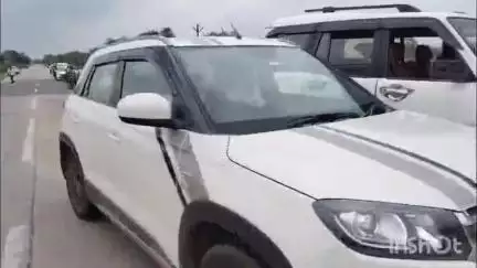 आमगाव: कवळी / पानगाव परिसरातील शेतात दिसला वाघ!शेतकरी वर्गात भीतीचे वातावरण; वन विभागाचे लक्ष वेधले