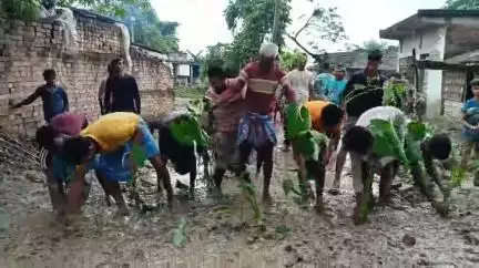 হরিহরপাড়া: বেহাল রাস্তায় কচুরিপানা লাগিয়ে অভিনব বিক্ষোভ হরিহরপাড়ায় #jansamasya