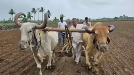 માણાવદર: સોમવારથી સોરઠ પંથકમાં ફરી વરસાદનો રાઉન્ડ શરૂ થશે