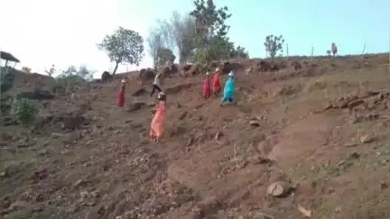 अक्राणी: भर पावसाळ्यातही बिलगाव बर्डीपाडा गावातील आदिवासी महिलांचा पाण्यासाठी खोलदरीतून जीवघेणा प्रवास