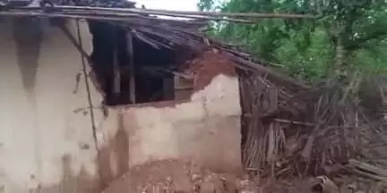 चिनिया: हाथी का तांडव: बिलैती खैर निवासी उमेश चौधरी का घर ढहाया, दो बकरियों को कुचला, अनाज भी चट कर गया