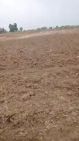 किसानों का कहना है कि बिन पानी की फसल बहुत ही सही होती हैं।