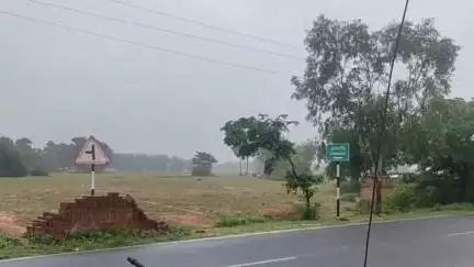झाझा: तेलियाडीह गांव के समीप सड़क किनारे पेड़ की टहनी से गुजर रही हाई वोल्टेज लाइन, ग्रामीणों में आक्रोश
#jansamasya