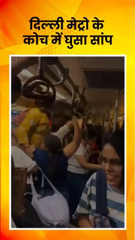 साकेत: दिल्ली मेट्रो के कोच में घुसा सांप, महिलाओं को हुई परेशानी, बचने के लिए सीटों पर चढ़ीं, वीडियो वायरल