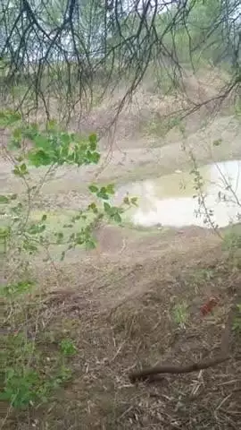 हर तरफ नदी की एक ही हालत हे कि वो इतनी पुर गई है कि जलस्तर कम हो गया है।