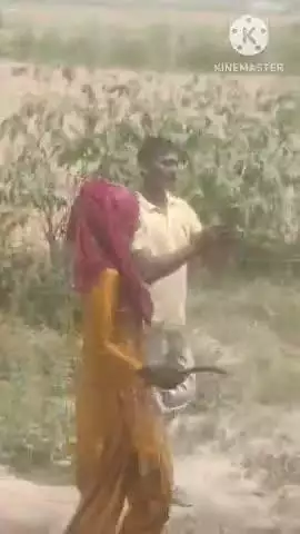 सोनीपत: अकबरपुर बारोटा गांव में महिला के साथ मारपीट, घटना का वीडियो आया सामने