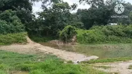তেলিয়ামুড়া: উঃকৃষ্ণপুর এলাকায় প্রায় একমাস পূর্বে ছড়ার বাঁধ কেটে দেওয়ার ফলে কৃষকদের যেক্ষতি হয়েছে তা এখনো সুরাহ হয়নি#jansamasya