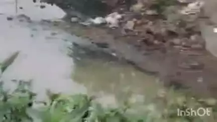 नैनीताल: मल्लीताल नयना देवी मंदिर के समीपवर्ती नाले से झील में जा रहा सीवर