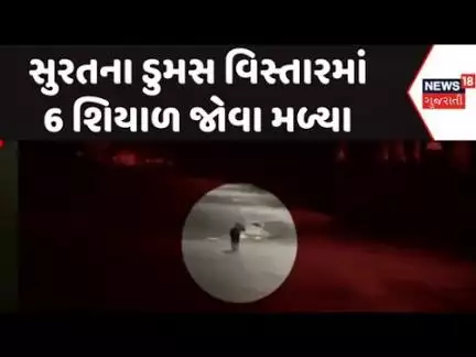 Surat Dumas Area News : સુરતના ડુમસ વિસ્તારમાં 6 શિયાળ જોવા મળ્યા | 6 Foxes | Gujarati News | News18