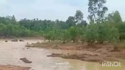 ଚମ୍ପୁଆ: ବର୍ଧନା ଗାଁରେ ହାତୀପଲର ଜଳକ୍ରୀଡା
