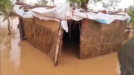 बोध गया: बारिश से बसाढ़ी पंचायत के कई गांवों में घुसा मुहाने नदी का पानी, जलस्तर बढ़ा