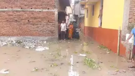 गया टाउन सीडी ब्लॉक: 3 दिनों की बारिश से गया के वार्ड संख्या 27 धनिया बगीचा एकता कॉलोनी हुआ जलमग्न, घरों में घुसा पानी #jansamasya