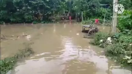 আরামবাগ: দ্বারকেশ্বর নদের জল বেড়ে প্লাবিত আরামবাগ পৌরসভার 2 ও 19 নং ওয়ার্ড; দেখা মেলেনি প্রশাসনের, সমস্যায় সাধারণ #jansamasya