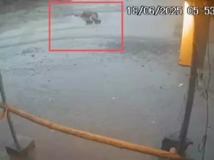 छत्तीसगढ़ के कोरबा में दिव्यांग युवक ने ट्रक के नीचे आकर की आत्महत्या Source: @ritikvaishnav231