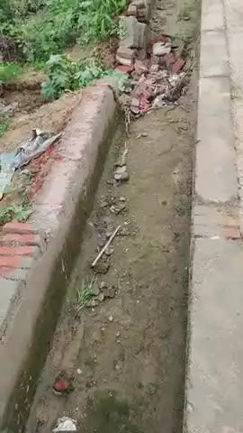 खराब मटेरियल से बनी गांव सिसरोई नगला ढक में  बनी बंबी(मायनर) बारिश के पहले पानी में टूटी मूंग की फसल हुई बेकार