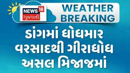 Dang Rain Update News : ડાંગમાં ધોધમાર વરસાદથી ગીરાધોધ અસલ મિજાજમાં |  Monsoon 2025 | Gujarati News