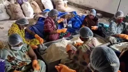 रायगढ़: जिले में शुरू हुई रेडी टू ईट यूनिट की स्थापना की प्रक्रिया, आंगनबाड़ियों में अगस्त से मिलेगा अब आहार