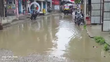 पूर्णिया पूर्व: हल्की बारिश से हीं रानीपरता बाजार में उतपन्न हो गयी जल जमाव की समस्या
#Jansamasya