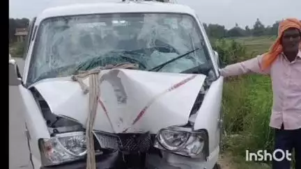 तिलोई: तिलोई में नील गाय को बचाने के प्रयास में बैन पोल से टकराई