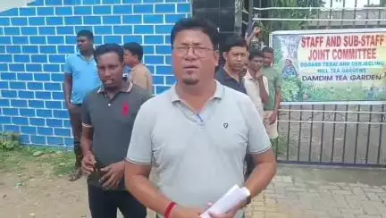 ধূপগুড়ি: বেতন কাঠামোর  নবিকরণ নিয়ে ডামডিম চাবাগানে গেট মিটিং করে ক্ষোভ প্রকাশ স্টাফ সাবস্টাফদের