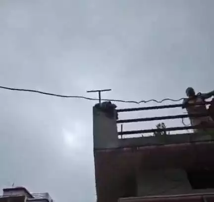 रुद्रपुर: रुद्रपुर बिजली विभाग की विजलेंस टीम ने फाजलपुर मेहरौला प्रीतविहार में चलाया चेकिंग अभियान, 14 घरों से पकड़ी बिजली चोरी