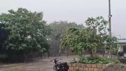 માળીયા હાટીના: જુનાગઢ જીલ્લામાં સાર્વત્રિક વરસાદ ખેડૂતોમા ખુશીની લહેર માળીયા તાલુકાના ખેડૂતો વાવણી કાર્યમાં જોતરાયા