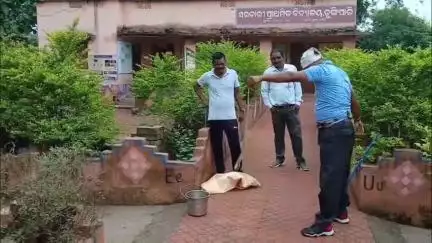 ଅମ୍ବାଭୋନା: ଡୁଙ୍ଗିପାଲୀ ପ୍ରାଥମିକ ବିଦ୍ୟାଳୟରୁ ଏକ ବିଷାକ୍ତ 5 ଫୁଟ ଲମ୍ବର ଗୋଖର ସାପ ଉଦ୍ଧାର କଲେ ତାଲିମପ୍ରାପ୍ତ ସାପଧରାଲୀ RK ମହାପାତ୍ର