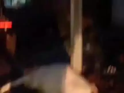 डिंडौरी: डिंडौरी के नर्मदा गंज में बिजली के पोल पर करंट आने से गाय की मौत