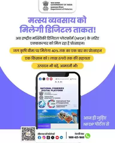 मत्स्य व्यवसाय को मिल रही है नई डिजिटल ताकत। 
राष्ट्रीय मत्स्यिकी डिजिटल प्लेटफॉर्म (NFDP) के माध्यम से अब मछली पालकों को मिल रही है आर्थिक सहायता, बीमा का लाभ और तकनीकी मार्गदर्शन।