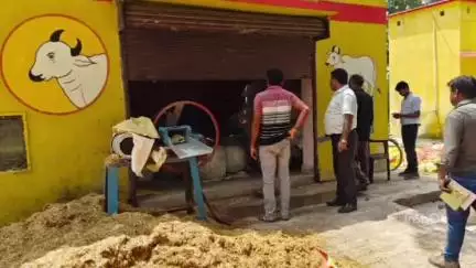 नौतनवा: कोट कम्हरिया स्थित गौशाला का बीडीओ ने किया निरीक्षण