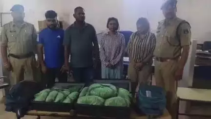 रायपुर: तेलघानी नाका चौक में 23 किलोग्राम गांजे के साथ 4 आरोपियों को किया गया गिरफ्तार