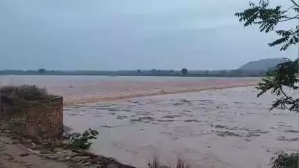 मोदनगंज: फल्गु नदी में जून में आया पानी, किसानों के धान का बिचड़ा डूबा