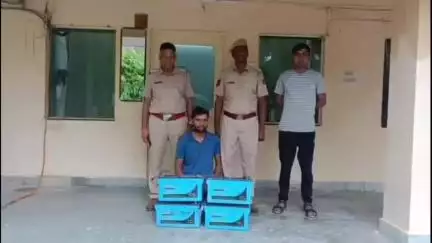 नैनवां: नैनवा थाना पुलिस ने एसबीआई बैंक में बैटरी चोरी मामले में एक आरोपी को गिरफ्तार कर बैटरी की बरामदगी की