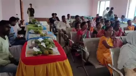 दारू: प्रखंड कार्यालय में आम उत्सव सह बागवानी मेला का आयोजन किया गया, प्रखंड प्रमुख और सांसद प्रतिनिधि ने किया विरोध