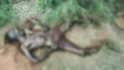 బద్వేల్: కలసపాడు : దూలంవారి పల్లి గ్రామ సమీపంలో గుర్తు తెలియని వ్యక్తి మృతదేహం లభ్యం