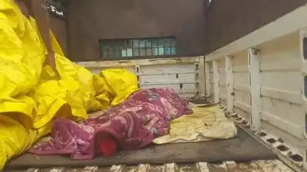 आमला: रेंगाढाना गांव में अज्ञात कारणों से जहरीला पदार्थ खाने से 35 वर्षीय महिला की मौत, पुलिस जांच में जुटी