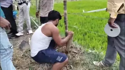 गौरीगंज: गौरीगंज क्षेत्र के गौरा गांव में आज राजस्व टीम पर एक बार फिर हुआ हमला, जिसका वीडियो सोशल मीडिया पर वायरल