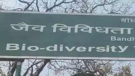 मानपुर: अंतर्राष्ट्रीय योग दिवस पर 21 जून को जैव विविधता केंद्र, ताला बांधवगढ़ में होगा कार्यक्रम का आयोजन